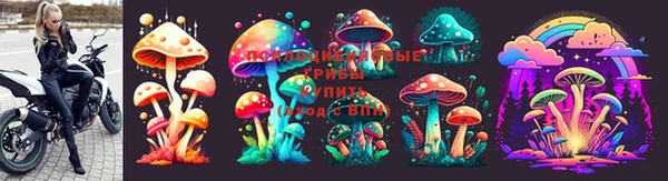 амф Алзамай