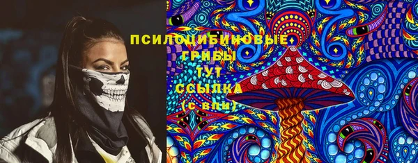 шишки Алексин